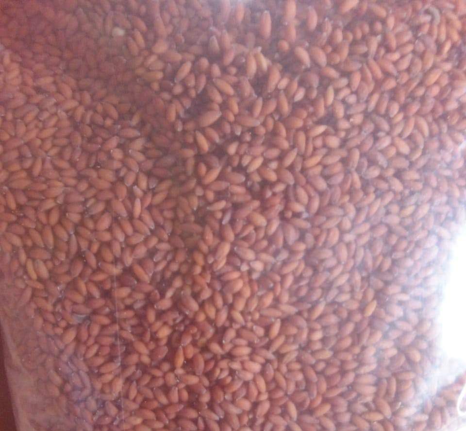 Sample photo